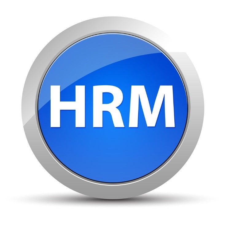 HealthyRasoiMess Logo